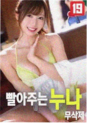 韩国电影 小姐 电影海报